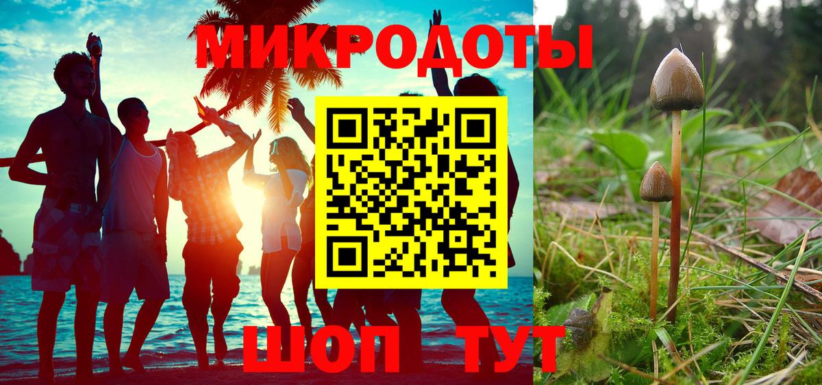 Красный Сулин  как найти наркотики  Вход с VPN  Псилоцибиновые грибы Cubensis 